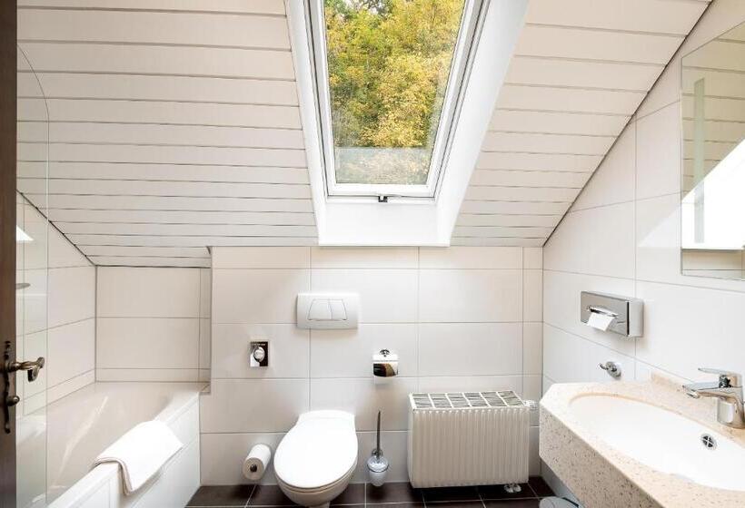 컴포트 룸, Business Class Hotel Häckermühle
