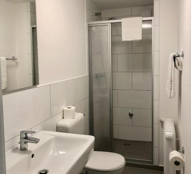 舒适型房间, City Hotel Und City Apartments Centrum