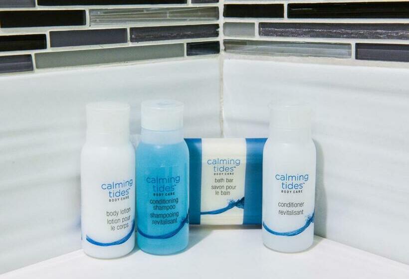 스탠다드 룸 킹사이즈 침대, Sunset West Hotel, Surestay Collection By Best Western