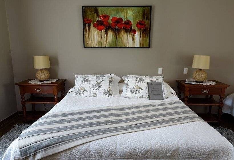 سوییت لوکس, Boutique Solaz Bella Vista De Colchagua