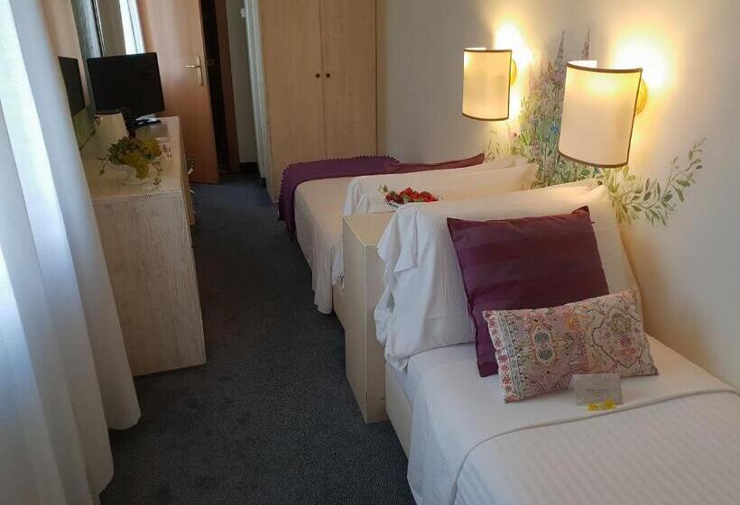 이코노미 룸, Albergo Al Moretto