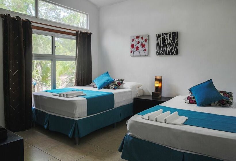 Студио Comfort, Eco Del Mar