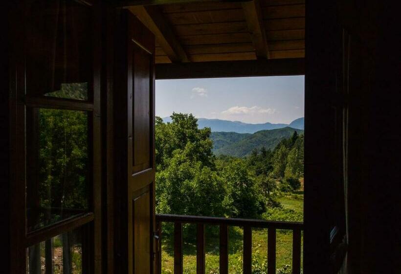 Номер Стандарт, To Kadi
