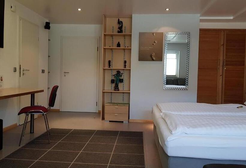 Студия Стандарт, H41 Inn Hotel Garni Freiburg