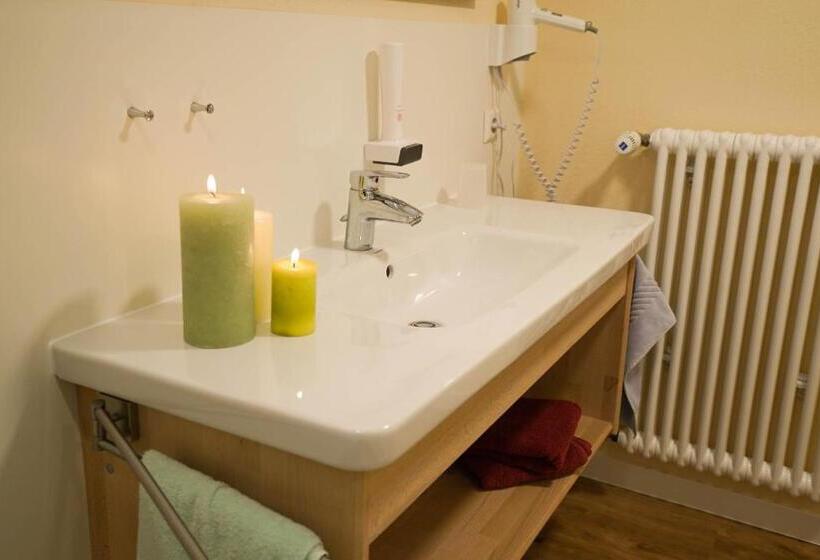 Апартаменты Superior 1 Спальня, Appartementhotel Breitmattstub