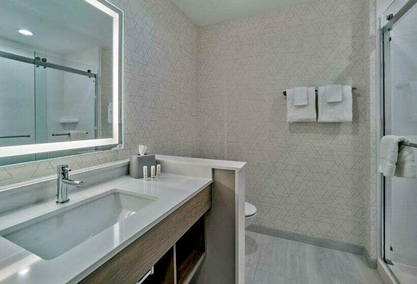 스탠다드 룸 킹사이즈 침대, Holiday Inn Express   Huntsville Space Center, An Ihg