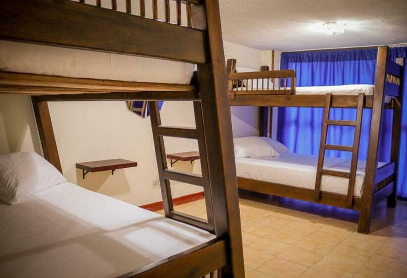 اتاق خانوادگی با سرویس بهداشتی مشترک, The Canarys Hostal