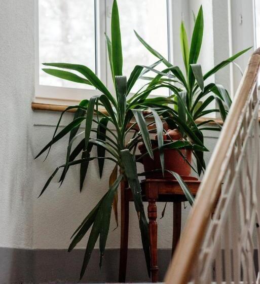 デラックスルーム, Gruppenhaus Lindenhof Churwalden