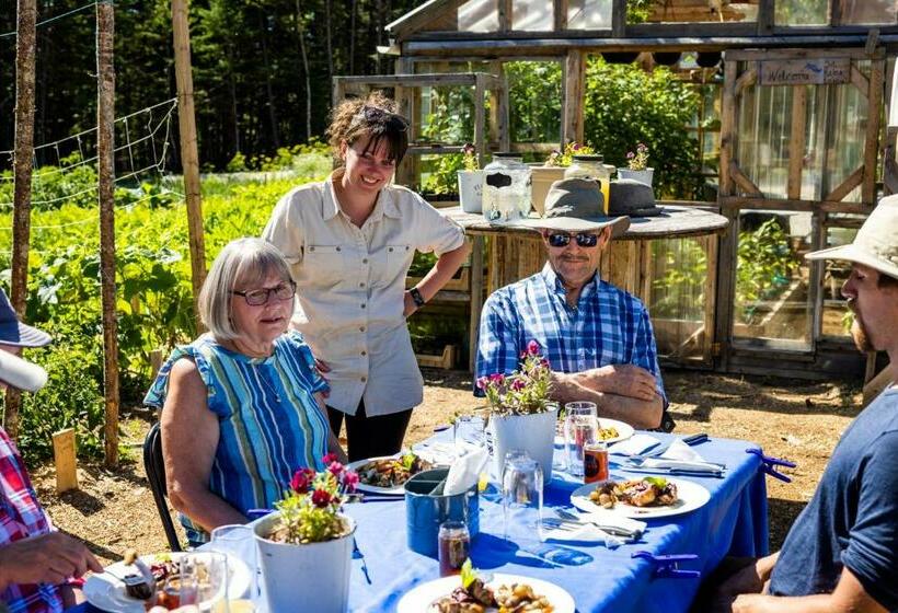 Стандартный Номер Кровать Кинг, Upper Humber Settlement A Farmstay B&b