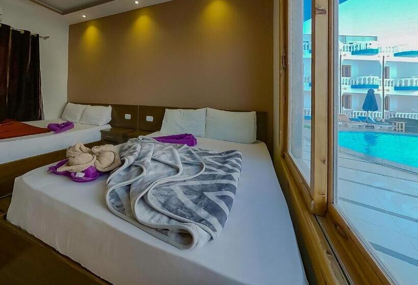 سوییت خانوادگی, Seaview Hotel Dahab