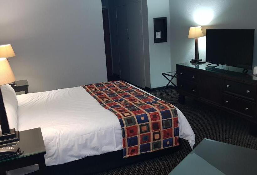 스탠다드 룸 킹사이즈 침대, African Sky Ermelo Inn