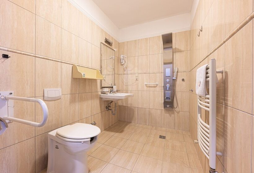 Номер Deluxe Адаптированный для Инвалидов, Bazilika Alatt Panzió