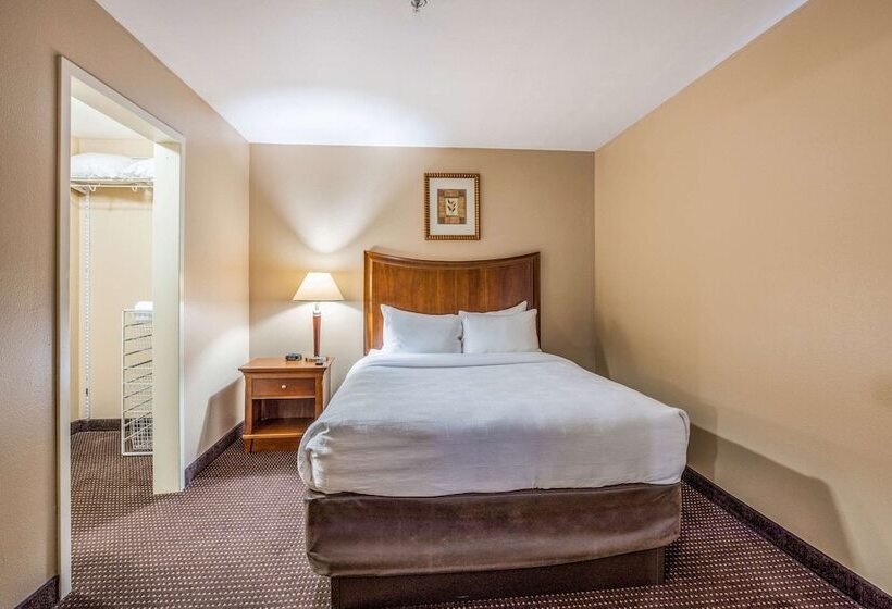 스위트, Mainstay Suites Port Saint Joe South