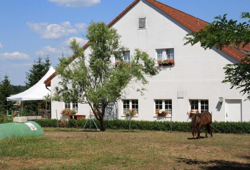 Номер Комфорт, Pension Am Mühlberg