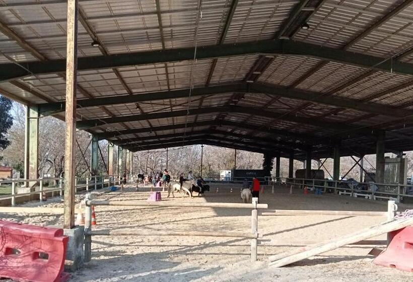 سوییت, Le Mas Palegry Chambres D Hôtes Perpignan