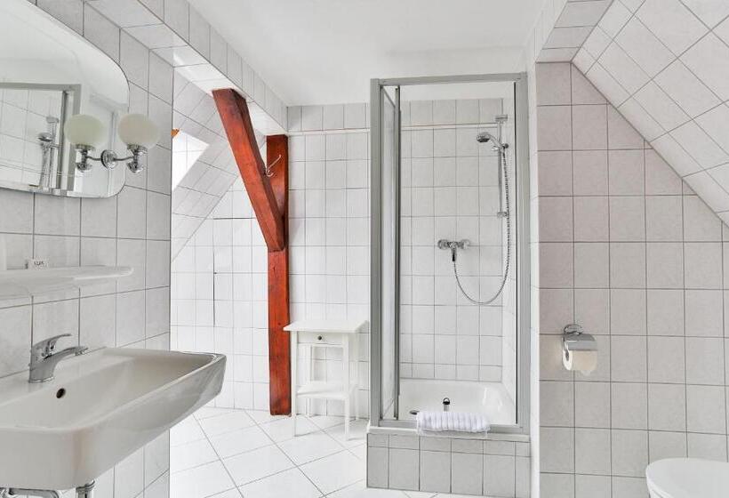 Номер Стандарт, & Pension Villa Camenz