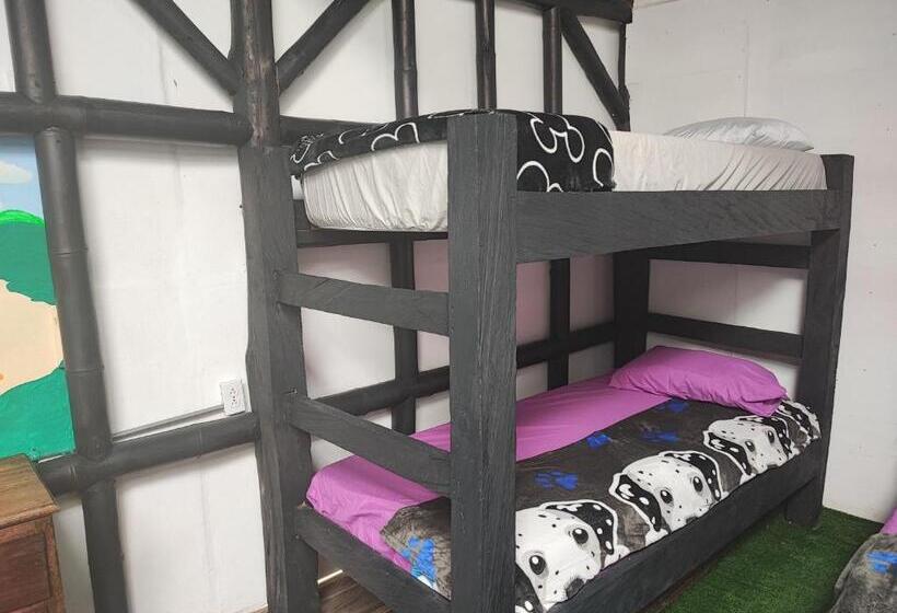 Cameră Familiară, Colors Fantasy Hostel