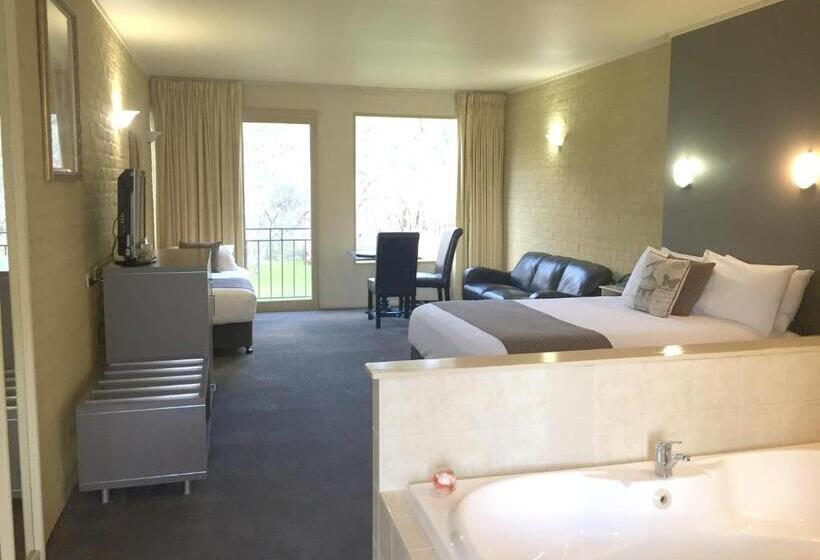 Номер Стандарт с Гидромассажем, Madison Spa Motel  Adults Only