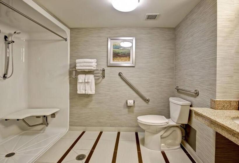 Номер Стандарт, Fairfield Inn & Suites By Marriott Guelph