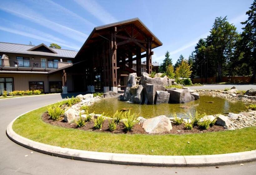 标准工作室, Sunrise Ridge Waterfront Resort