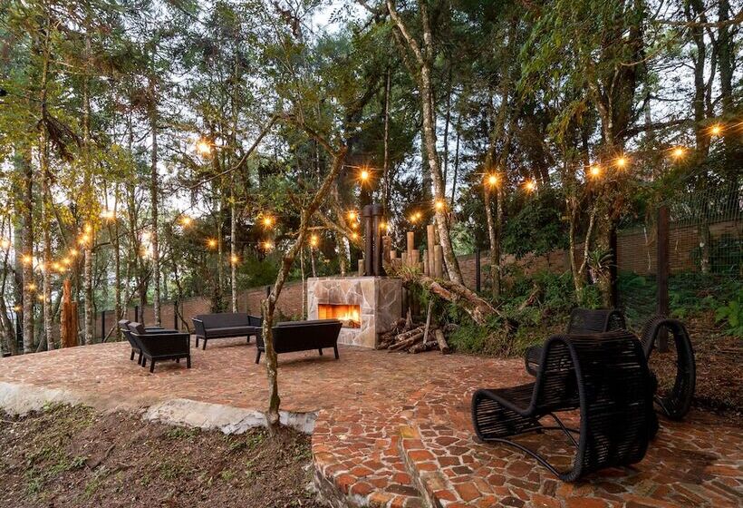 스탠다드 룸, Jangal Das Araucárias Swan Design Hotel Canela