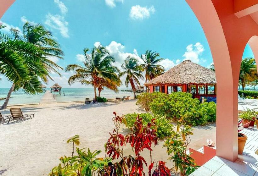 Апартаменты 1 Спальня, Red Ginger @ Caribe Island