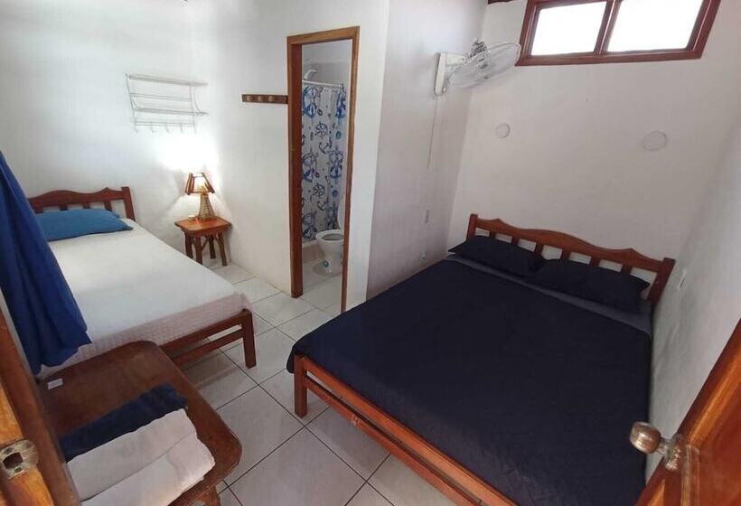 Номер Стандарт, Hostal Solemare
