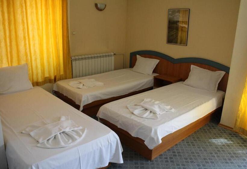 舒适三人间, Guest House Elit