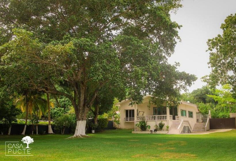 デラックスビラの１ベッドルーム, Casa Pucté Bacalar