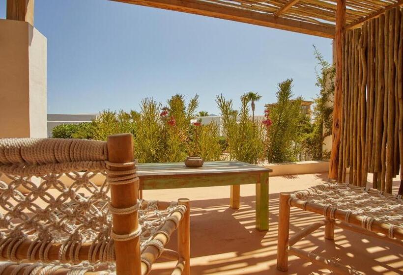 جناح مطلّ علي البحر, Petunia Ibiza, A Beaumier