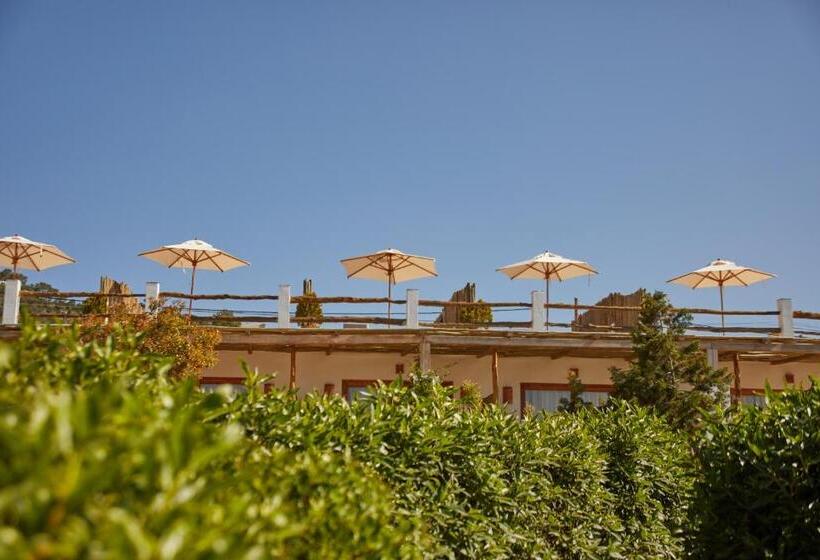 جناح مطلّ علي البحر, Petunia Ibiza, A Beaumier