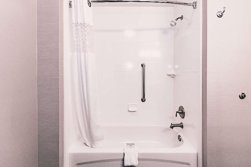 اتاق استاندارد با تخت بزرگ, Hampton Inn Niagara Falls/blvd