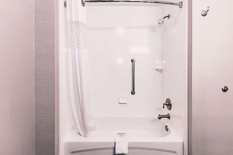 اتاق استاندارد با تخت بزرگ, Hampton Inn Niagara Falls/blvd