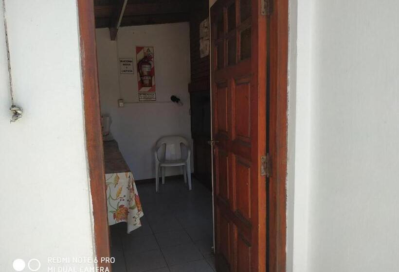 Apartamento 1 Dormitório com Terraço, Danes