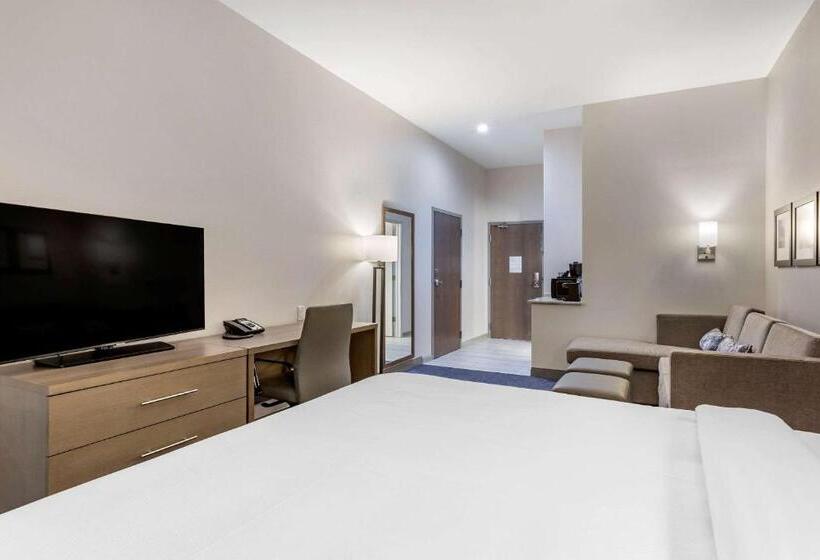 适合残疾人士使用的带超级大床的标准间, Comfort Suites Scottsdale Talking Stick Entertainment District