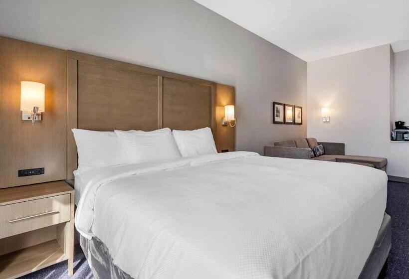 适合残疾人士使用的带超级大床的标准间, Comfort Suites Scottsdale Talking Stick Entertainment District