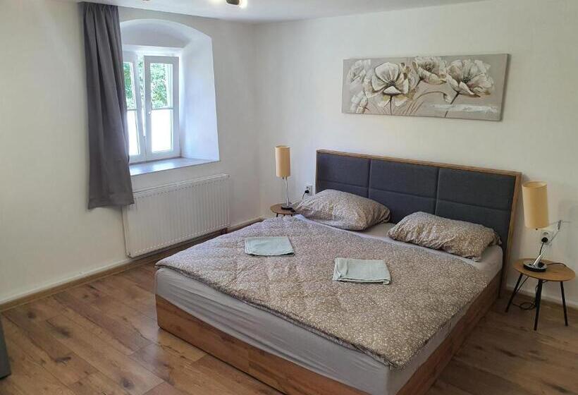 小型豪华套房, Apartmány černý Kohout