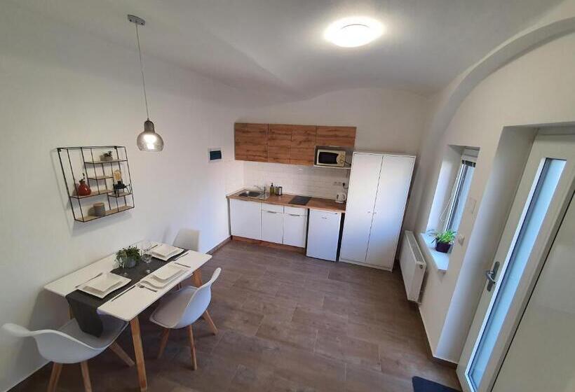 带1个卧室的高级公寓, Apartmány černý Kohout