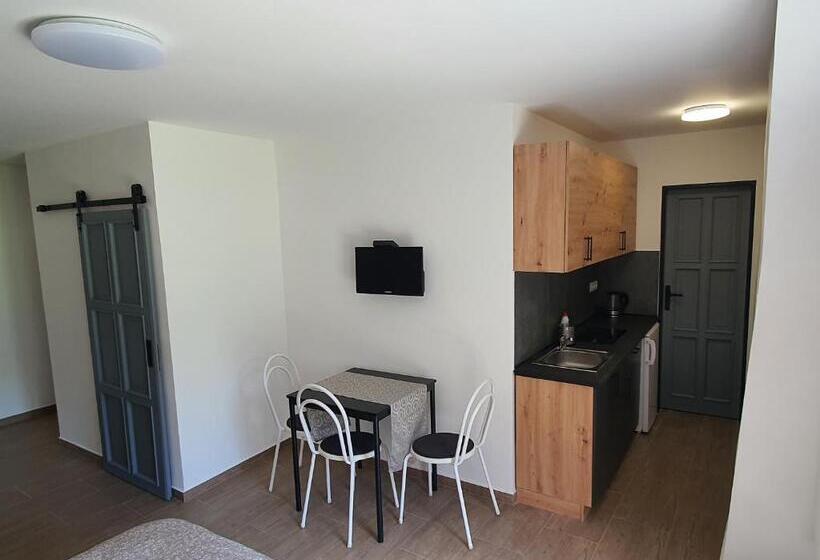 园景标准四人间, Apartmány černý Kohout