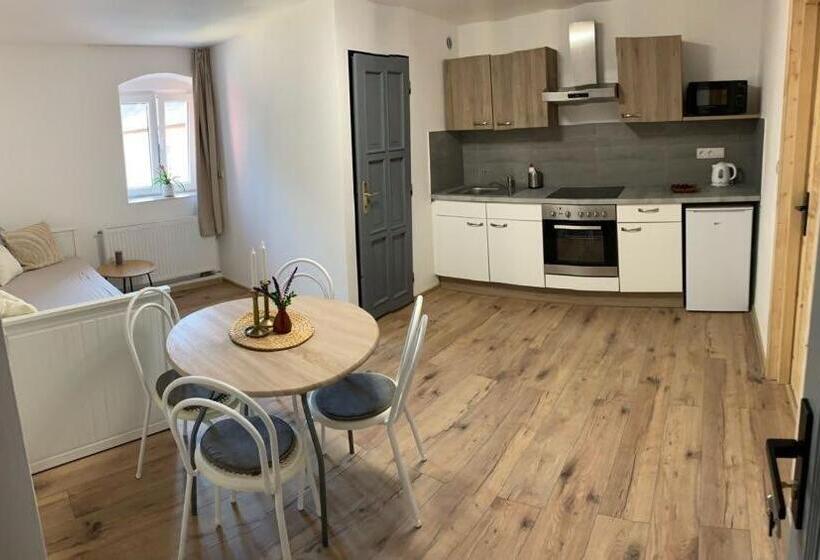 带1个卧室的豪华公寓, Apartmány černý Kohout