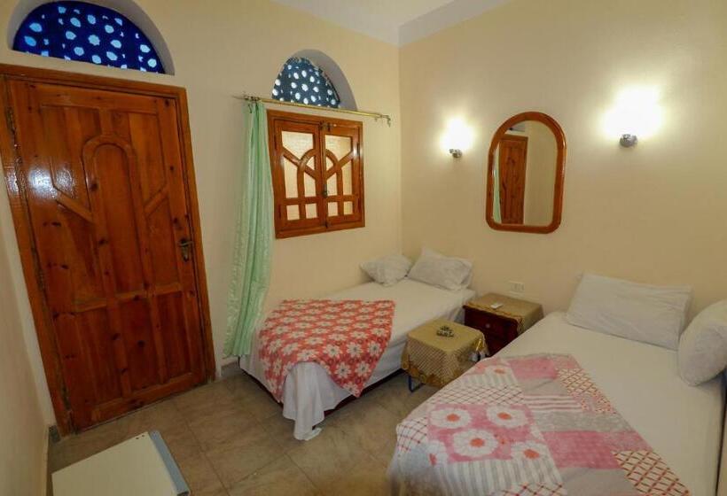 חדר אקונומי, Gina Motel Dahab
