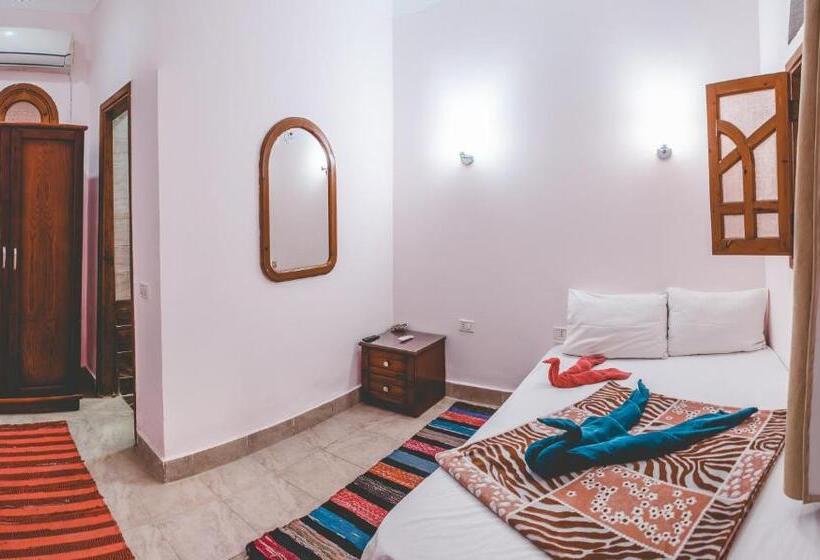 חדר אקונומי יחיד, Gina Motel Dahab