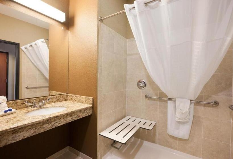 Номер Superior Адаптированный для Инвалидов, Microtel Inn & Suites Cotulla