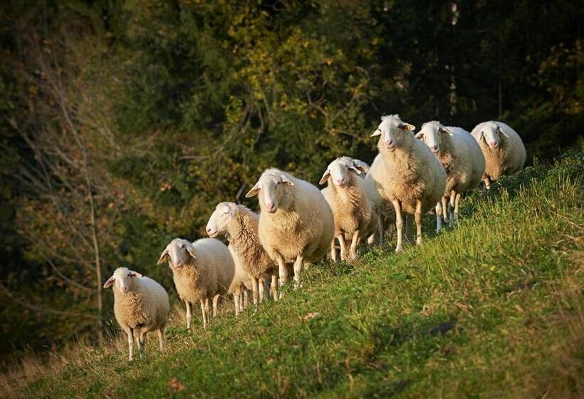 اتاق استاندارد چهارنفره با بالکن, Tourist Farm Kladje