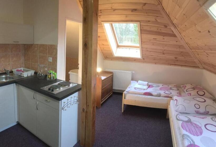 Студия Стандарт, Apartments Lipno Serafin