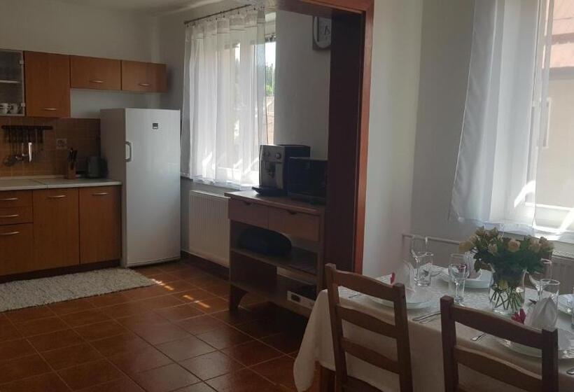 Апартаменты 1 Спальня с Балконом, Apartmány 105