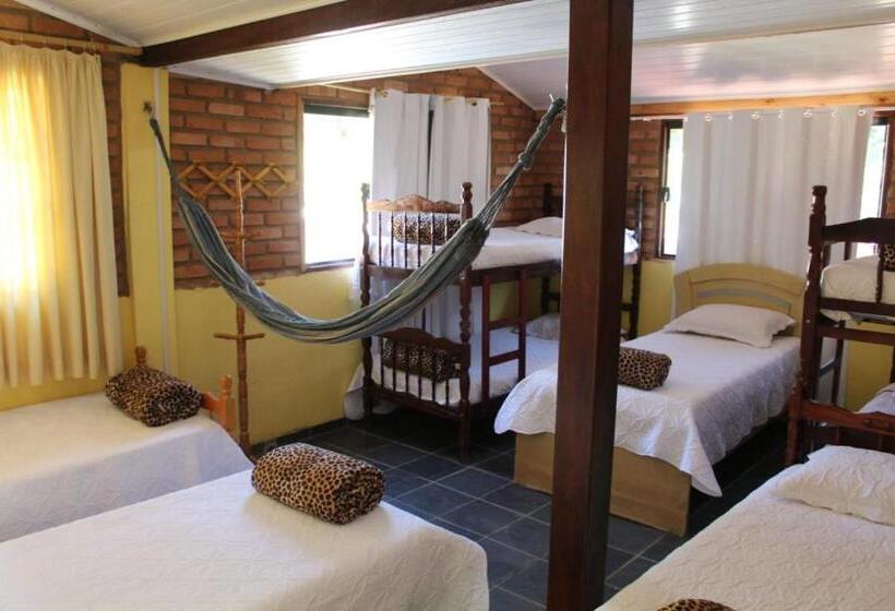 Кровать в Общей Комнате, Hostel Yellow House Mg