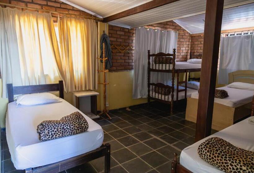 Кровать в Общей Комнате, Hostel Yellow House Mg
