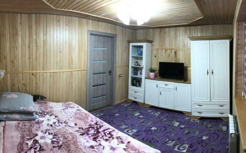 Номер Стандарт, карпатська ніч