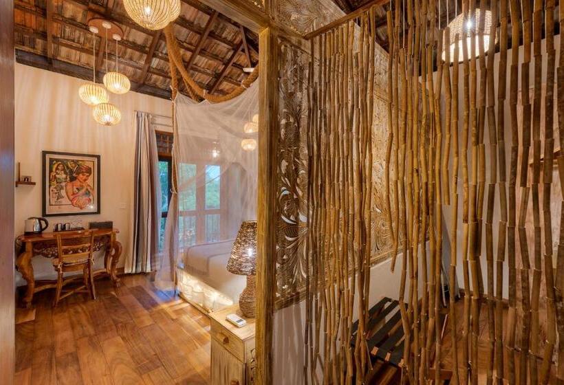 Номер Стандарт, D Canal House